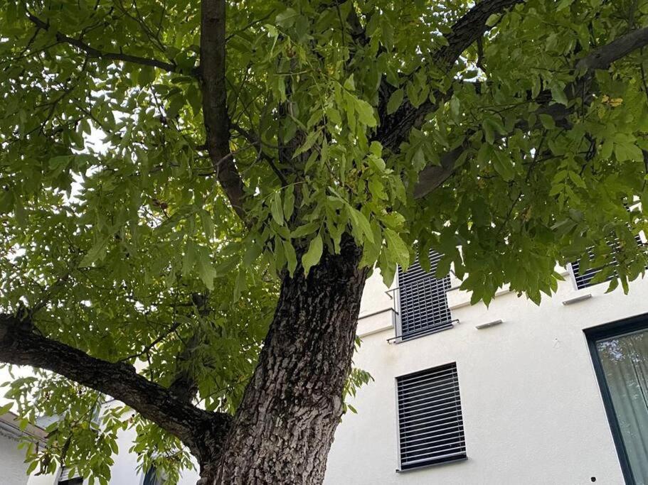 Apartament Wohnen Bahnstrasse 5 Klagenfurt am Woerthersee Zewnętrze zdjęcie